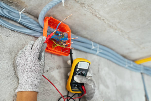Best Electric Panel Repair  in Pinellas Park, FL